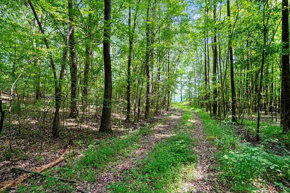 9.49 Acres of Residential Land for Sale in Moscow, Tennessee