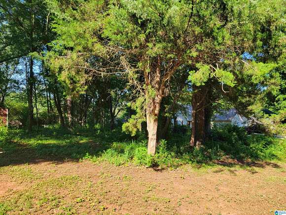 Land for Sale in Pell City, Alabama