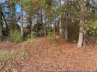 4.74 Acres of Residential Land for Sale in Autryville, North Carolina