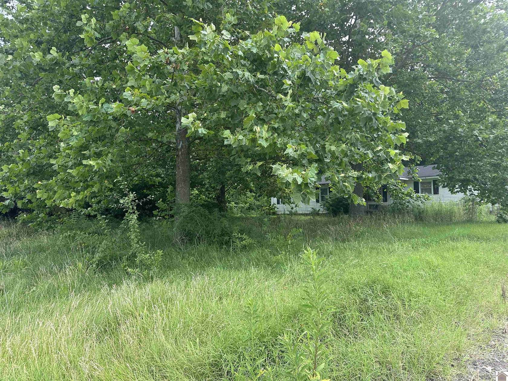 4.85 Acres of Residential Land for Sale in Fancy Farm, Kentucky