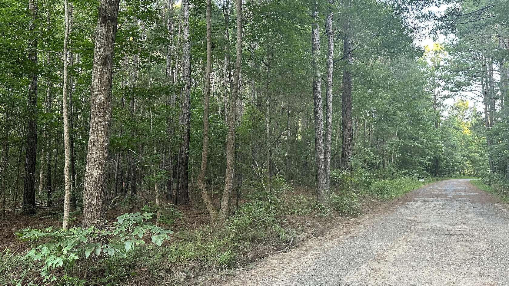 1 Acre of Residential Land for Sale in Huger, South Carolina