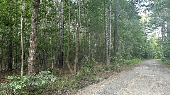 1 Acre of Residential Land for Sale in Huger, South Carolina