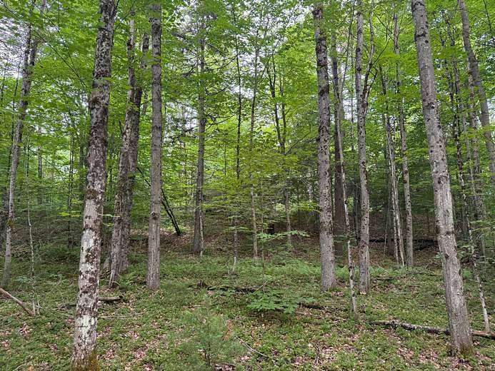 25 Acres of Recreational Land for Sale in Cincinnatus, New York