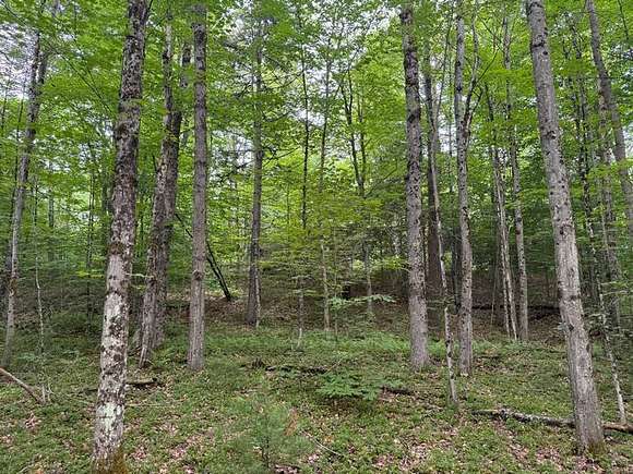 25 Acres of Recreational Land for Sale in Cincinnatus, New York