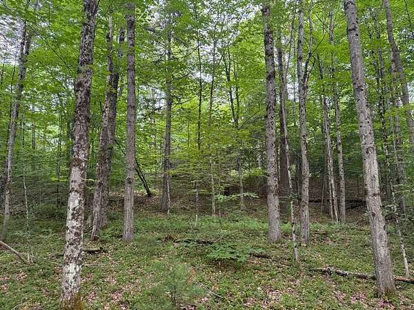 25 Acres of Recreational Land for Sale in Cincinnatus, New York