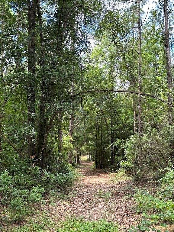 83 Acres of Recreational Land for Sale in Eight Mile, Alabama
