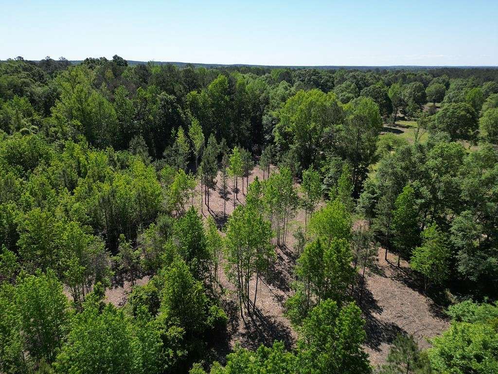 5.24 Acres of Residential Land for Sale in Poplarville, Mississippi