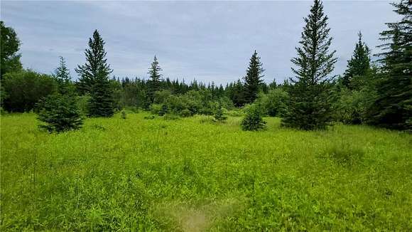 40 Acres of Land for Sale in Angora, Minnesota