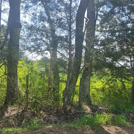 0.25 Acres of Residential Land for Sale in Sardis, Tennessee
