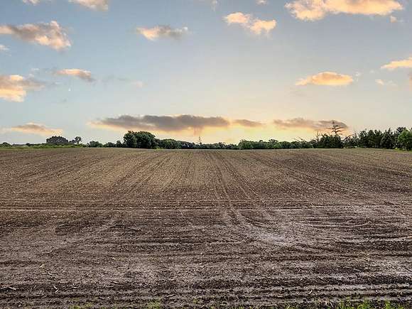 60 Acres of Agricultural Land for Sale in Buffalo, Minnesota