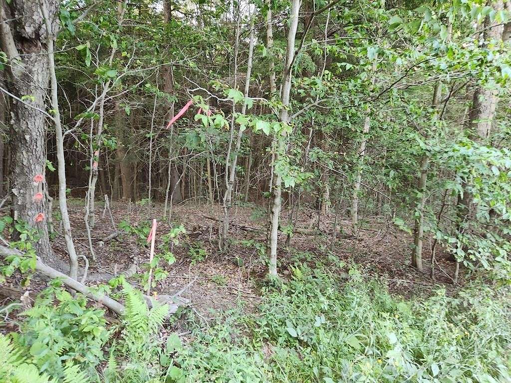 5.61 Acres of Residential Land for Sale in Dushore, Pennsylvania