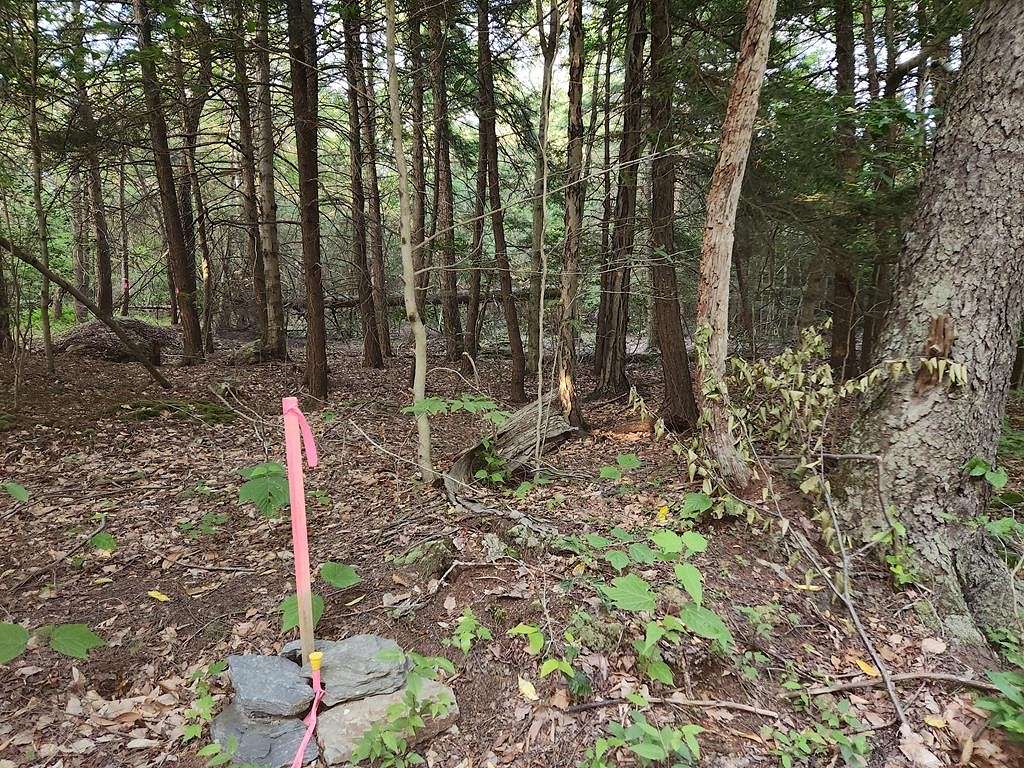 5.08 Acres of Residential Land for Sale in Dushore, Pennsylvania