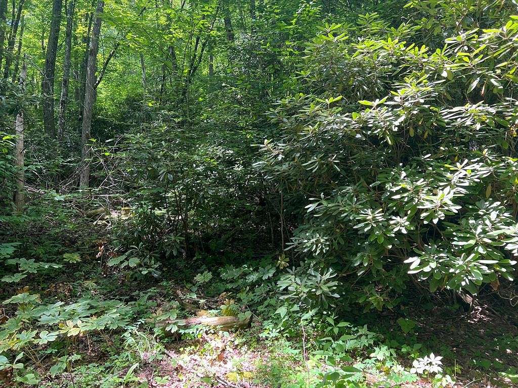 0.77 Acres of Residential Land for Sale in Cullowhee, North Carolina