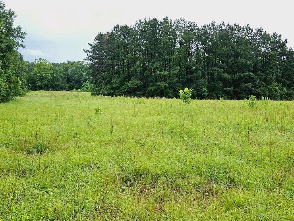 6.46 Acres of Residential Land for Sale in Magnolia, Mississippi