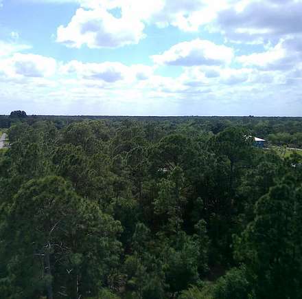 1.93 Acres of Residential Land for Sale in Citra, Florida