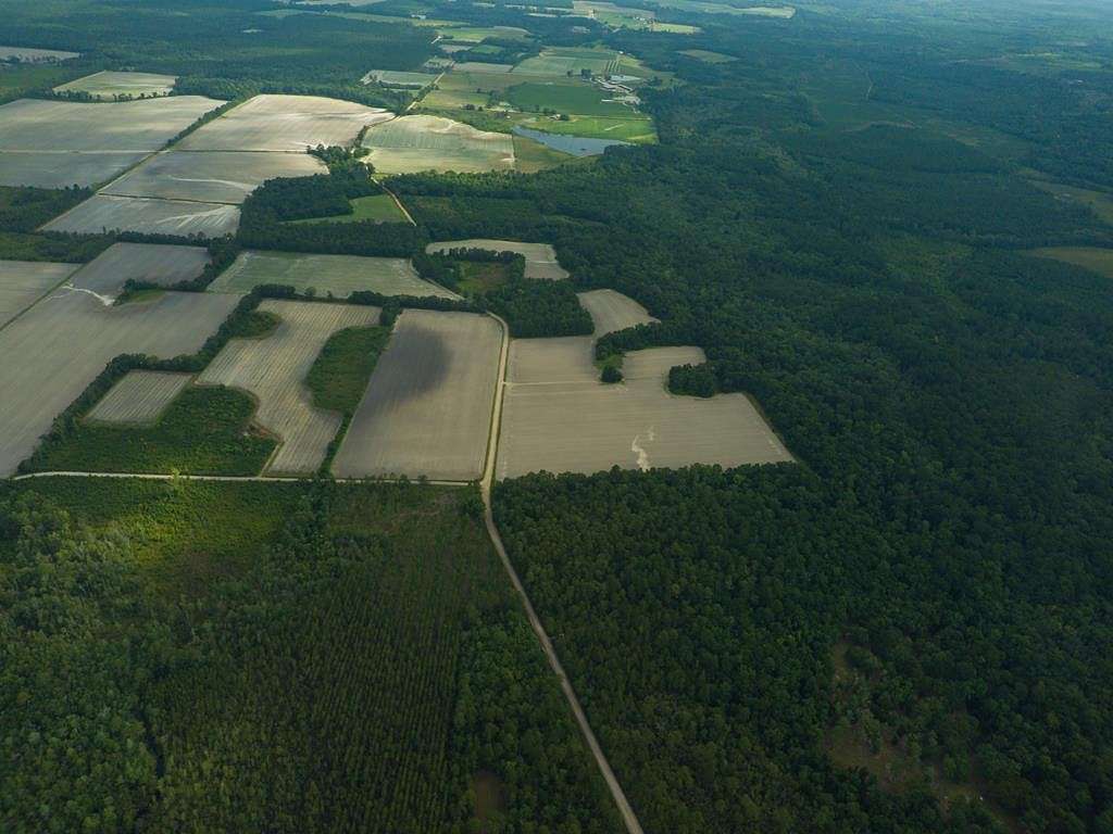 170 Acres of Land for Sale in Nashville, Georgia