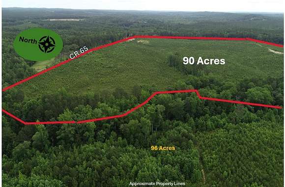 90.73 Acres of Land for Sale in Fruithurst, Alabama