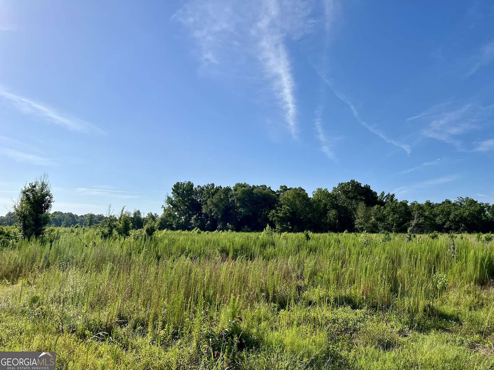 136.73 Acres of Land for Sale in Wrightsville, Georgia