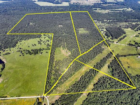 244 Acres of Recreational Land for Sale in Lovelady, Texas