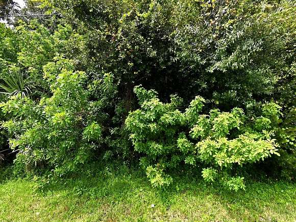 0.45 Acres of Residential Land for Sale in Fort Pierce, Florida