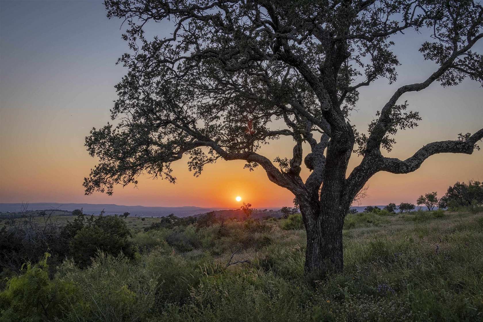 4.43 Acres of Land for Sale in Kingsland, Texas