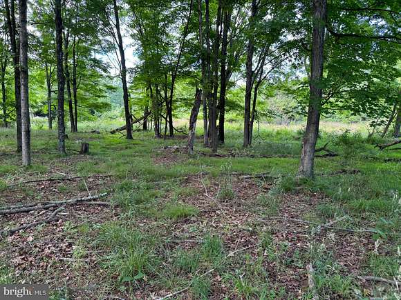 1.76 Acres of Land for Sale in Scherr, West Virginia
