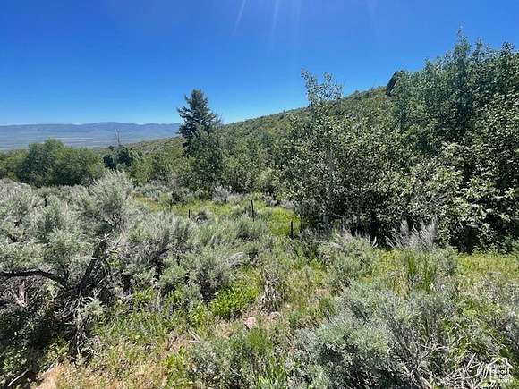 40 Acres of Recreational Land for Sale in Downey, Idaho
