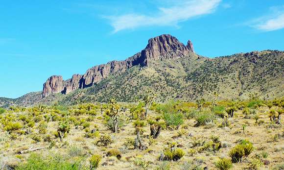 2 Acres of Residential Land for Sale in Dolan Springs, Arizona