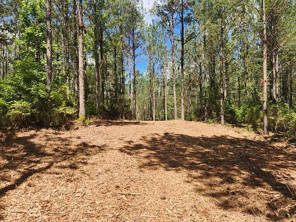 7.5 Acres of Land for Sale in McIntyre, Georgia