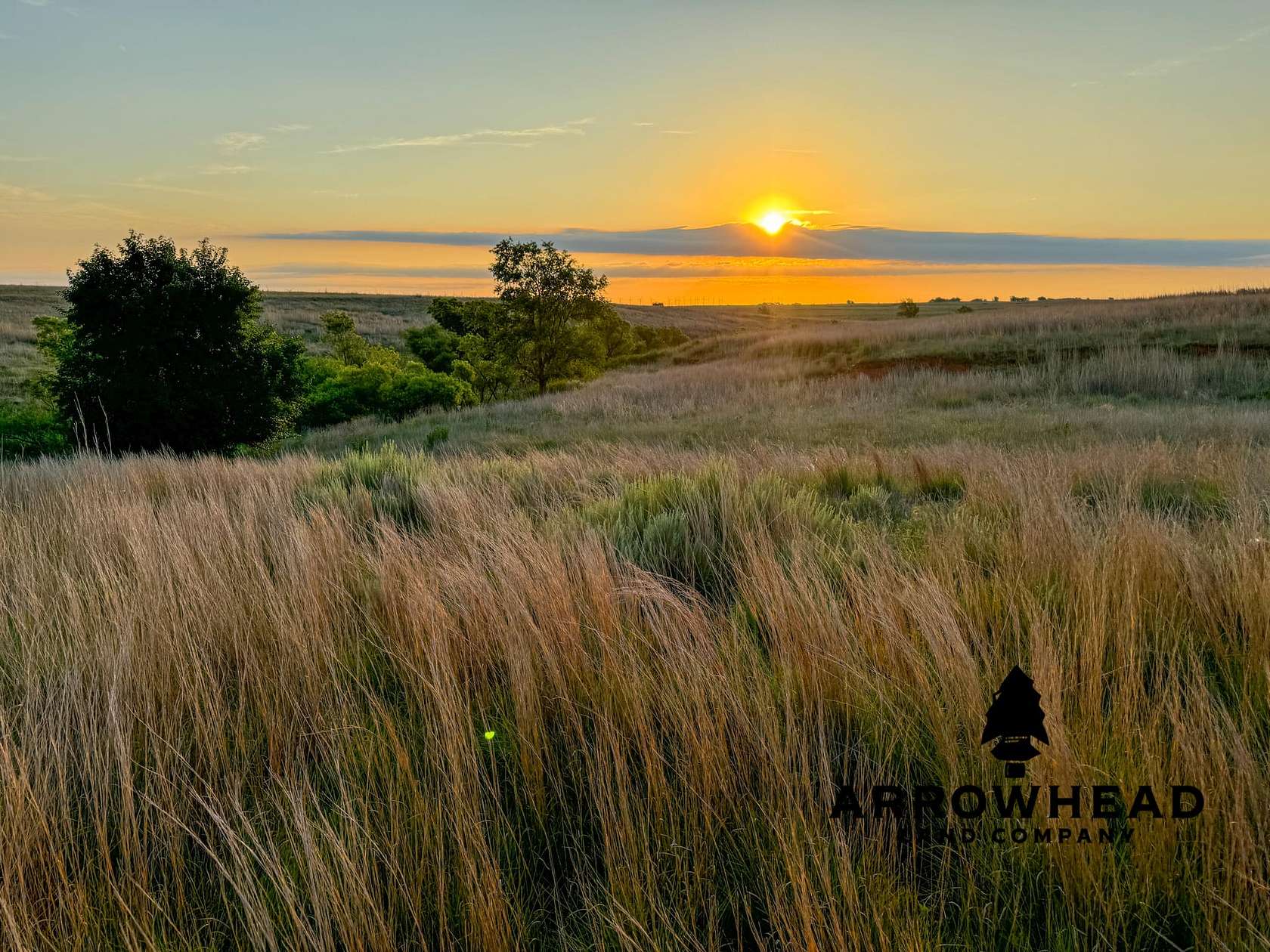 150 Acres of Recreational Land & Farm for Sale in Laverne, Oklahoma