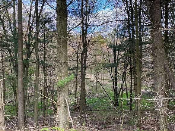 57 Acres of Land for Sale in Hanoverton, Ohio