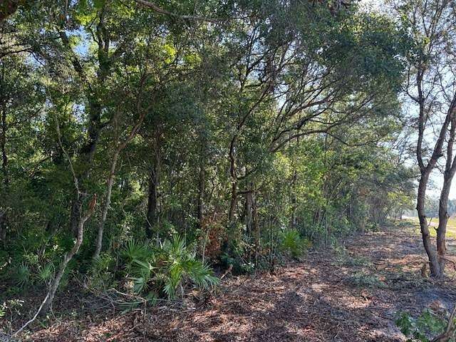 10 Acres of Land for Sale in Old Town, Florida