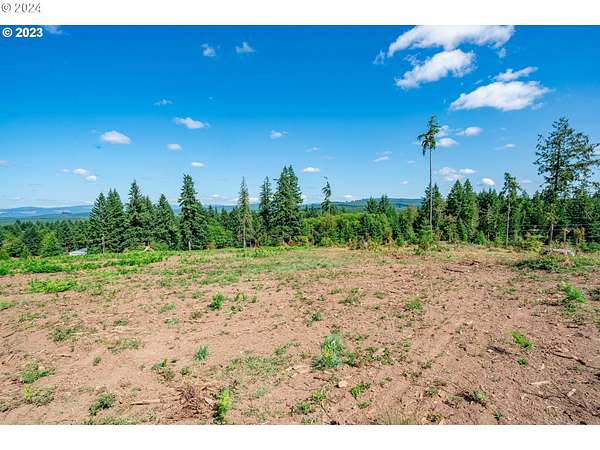 2 Acres of Residential Land for Sale in Castle Rock, Washington