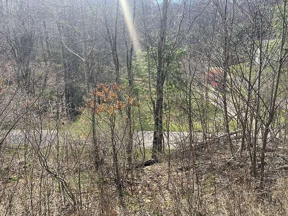 9 Acres of Residential Land for Sale in Pocahontas, Virginia