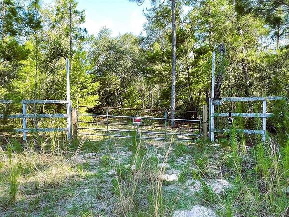 5.5 Acres of Residential Land for Sale in Keystone Heights, Florida