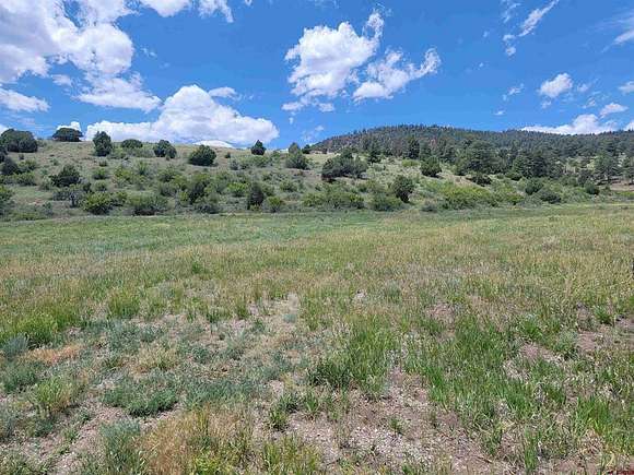 14.5 Acres of Recreational Land for Sale in South Fork, Colorado