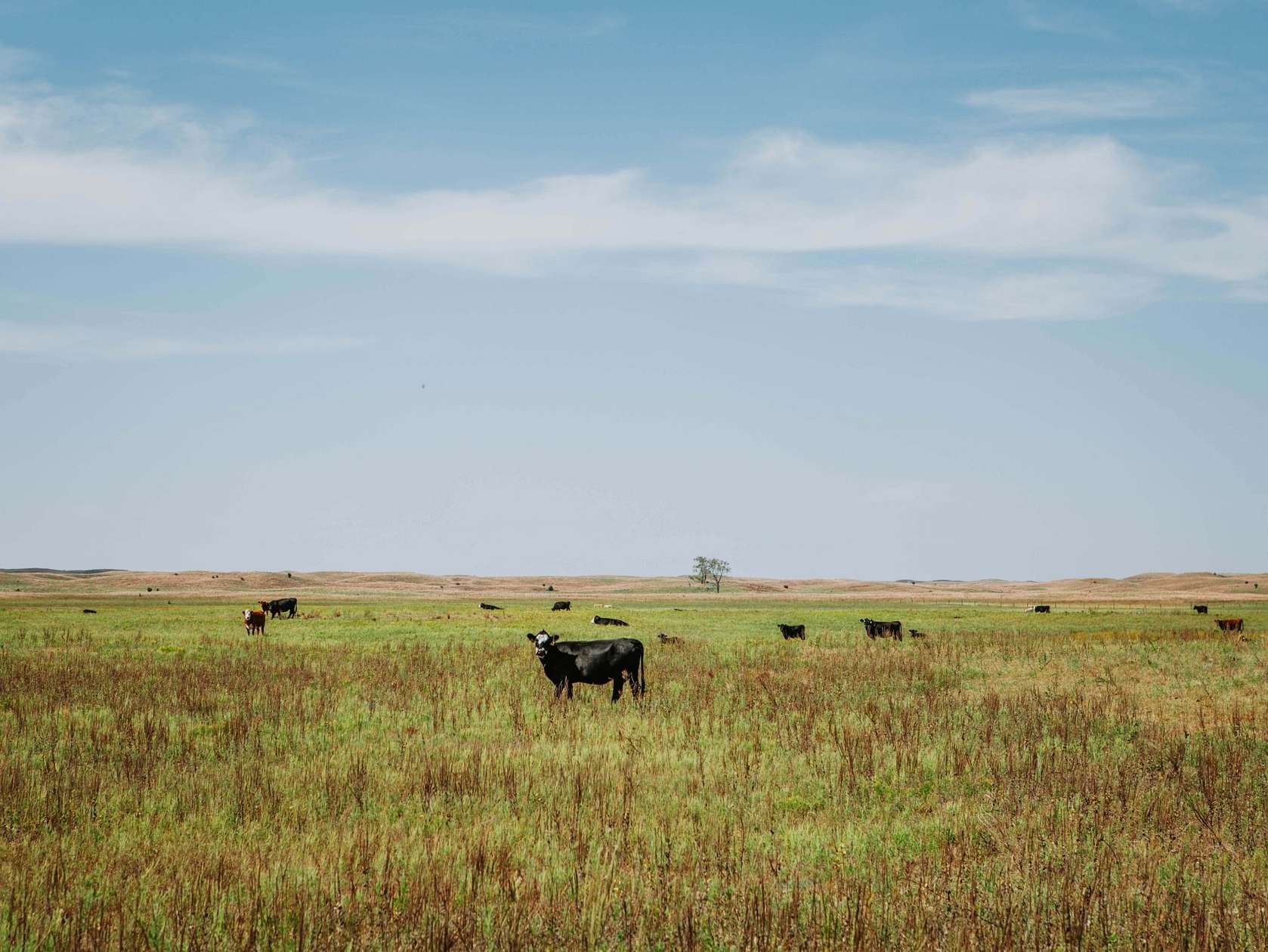 12,979 Acres of Recreational Land & Farm for Sale in Ainsworth, Nebraska