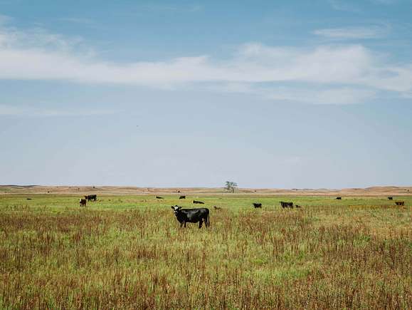 12,979 Acres of Recreational Land & Farm for Sale in Ainsworth, Nebraska