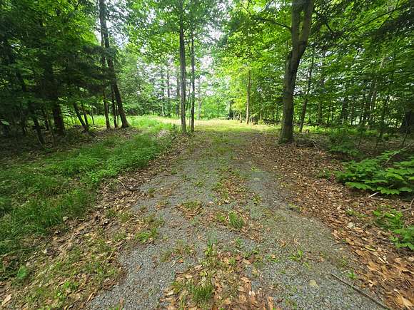 6 Acres of Land for Sale in Lorraine, New York