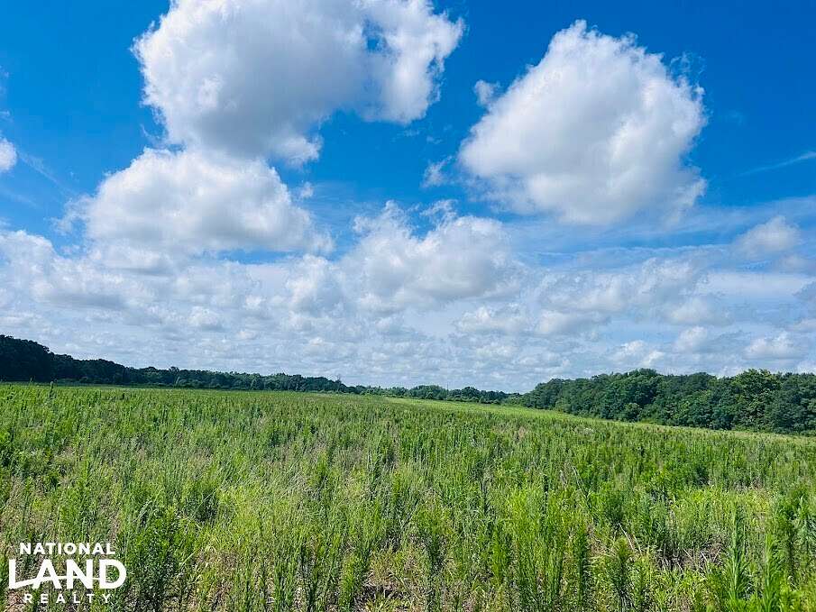 35.01 Acres of Land for Sale in Richland, Georgia