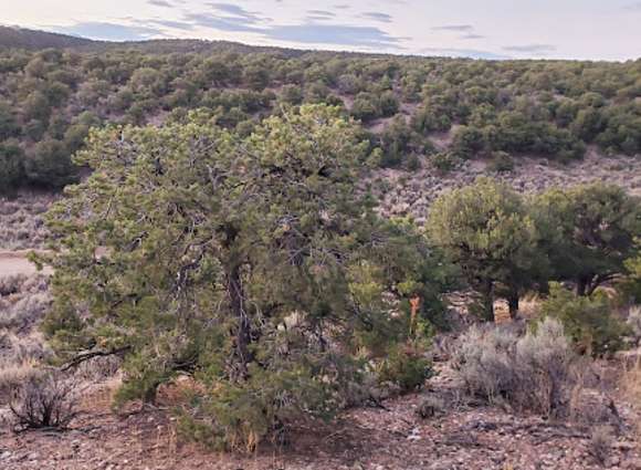 5.1 Acres of Residential Land for Sale in San Luis, Colorado