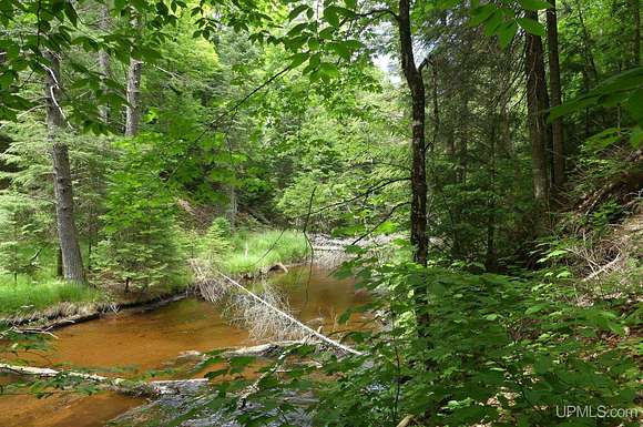 5.25 Acres of Land for Sale in Seney, Michigan