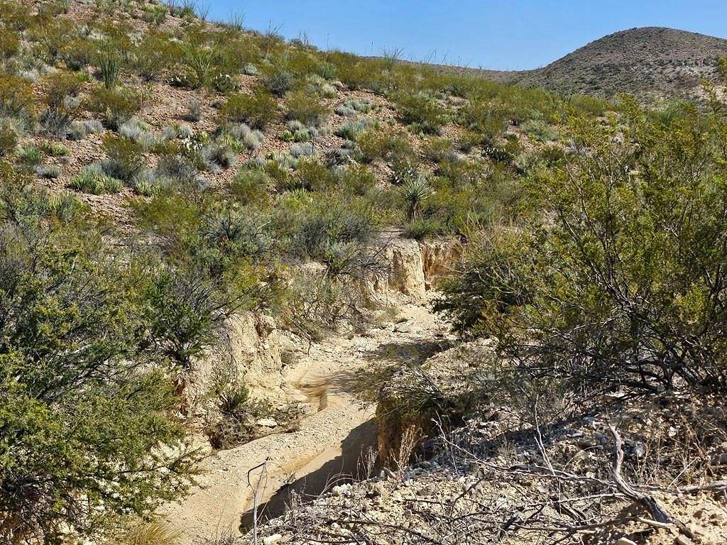 10 Acres of Recreational Land for Sale in Terlingua, Texas