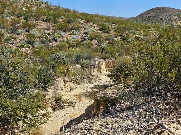 10 Acres of Recreational Land for Sale in Terlingua, Texas