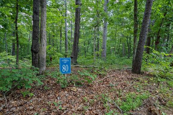 1.03 Acres of Residential Land for Sale in Ellijay, Georgia