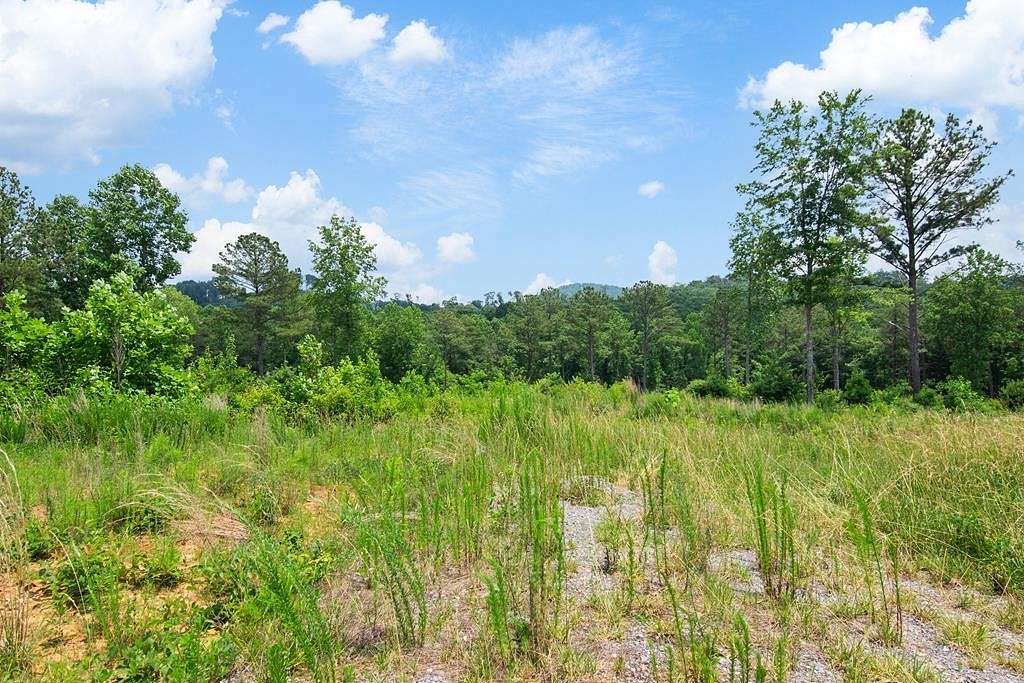 1.67 Acres of Residential Land for Sale in Talking Rock, Georgia