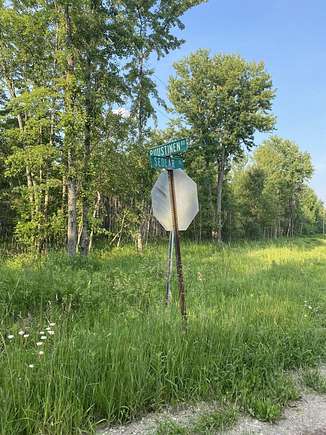 40 Acres of Recreational Land for Sale in Kaleva, Michigan - LandSearch