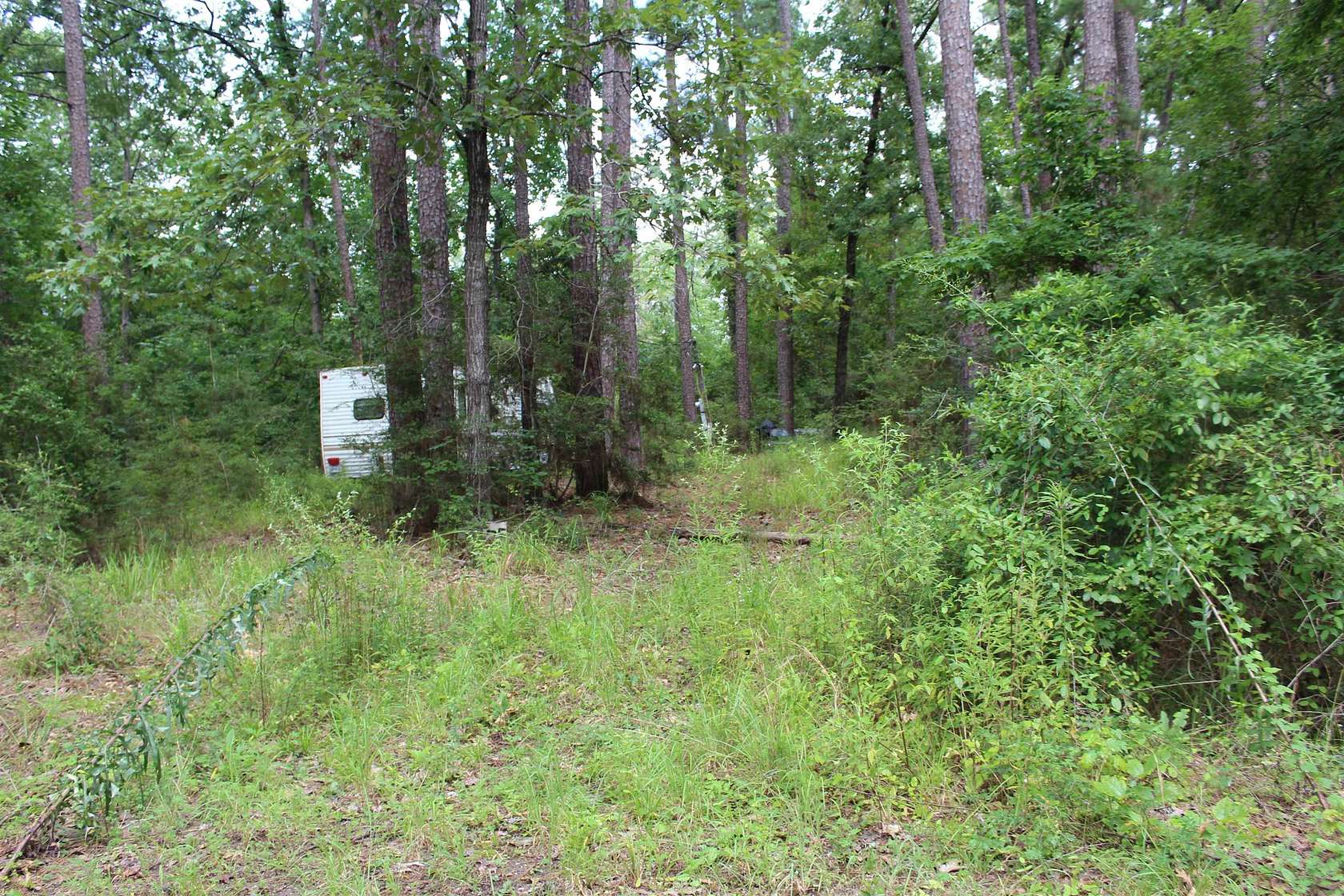 0.25 Acres of Residential Land for Sale in Burkeville, Texas