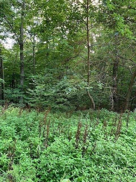 1.21 Acres of Residential Land for Sale in Mears, Michigan