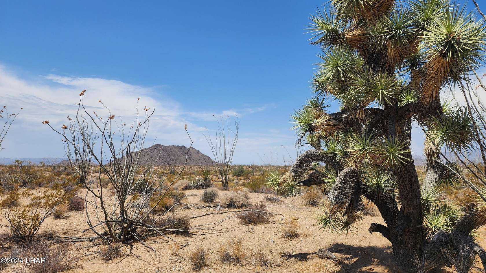 39.47 Acres of Land for Sale in Yucca, Arizona